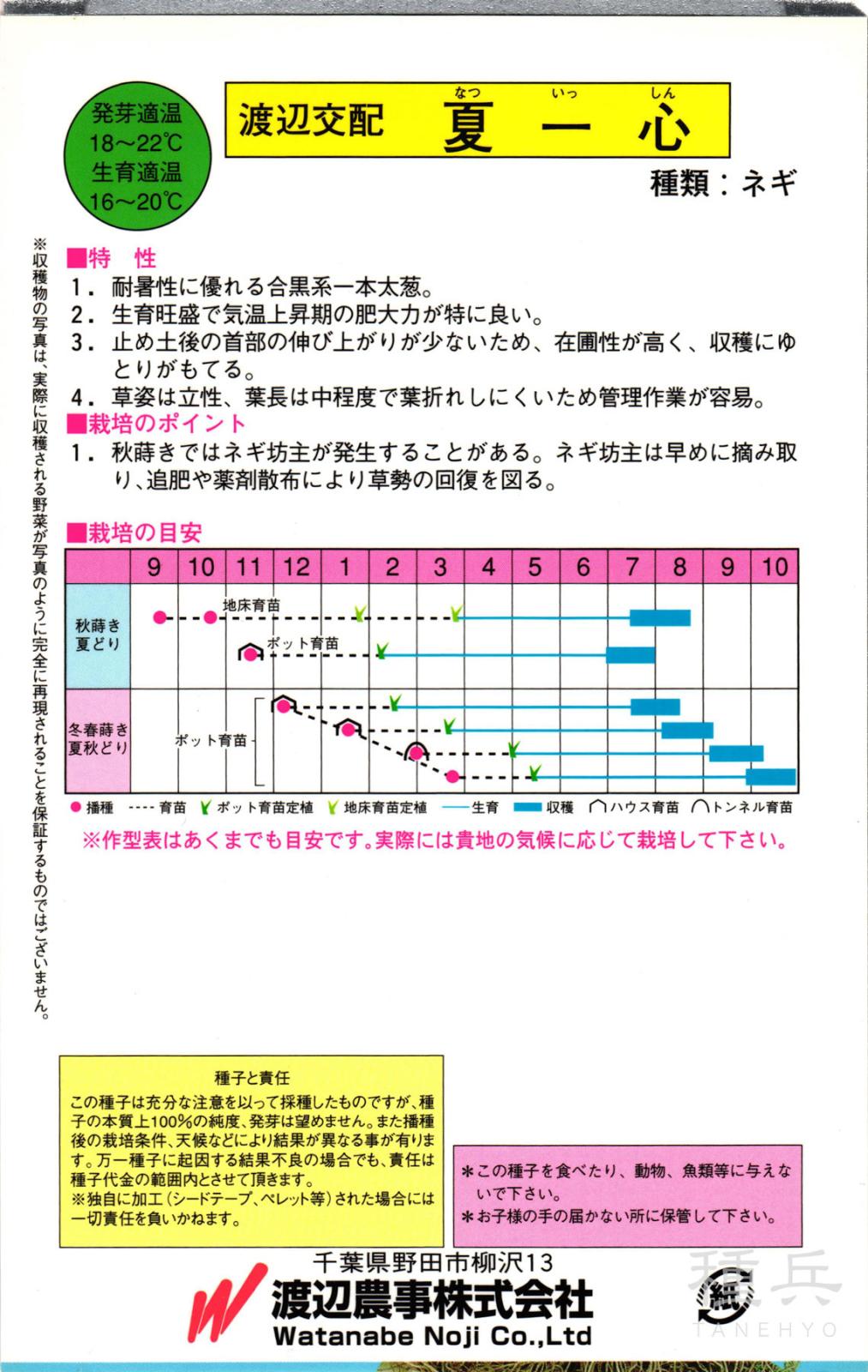 根深ネギ 種 『夏一心（なついっしん）』 渡辺農事 | たね,葉菜の種