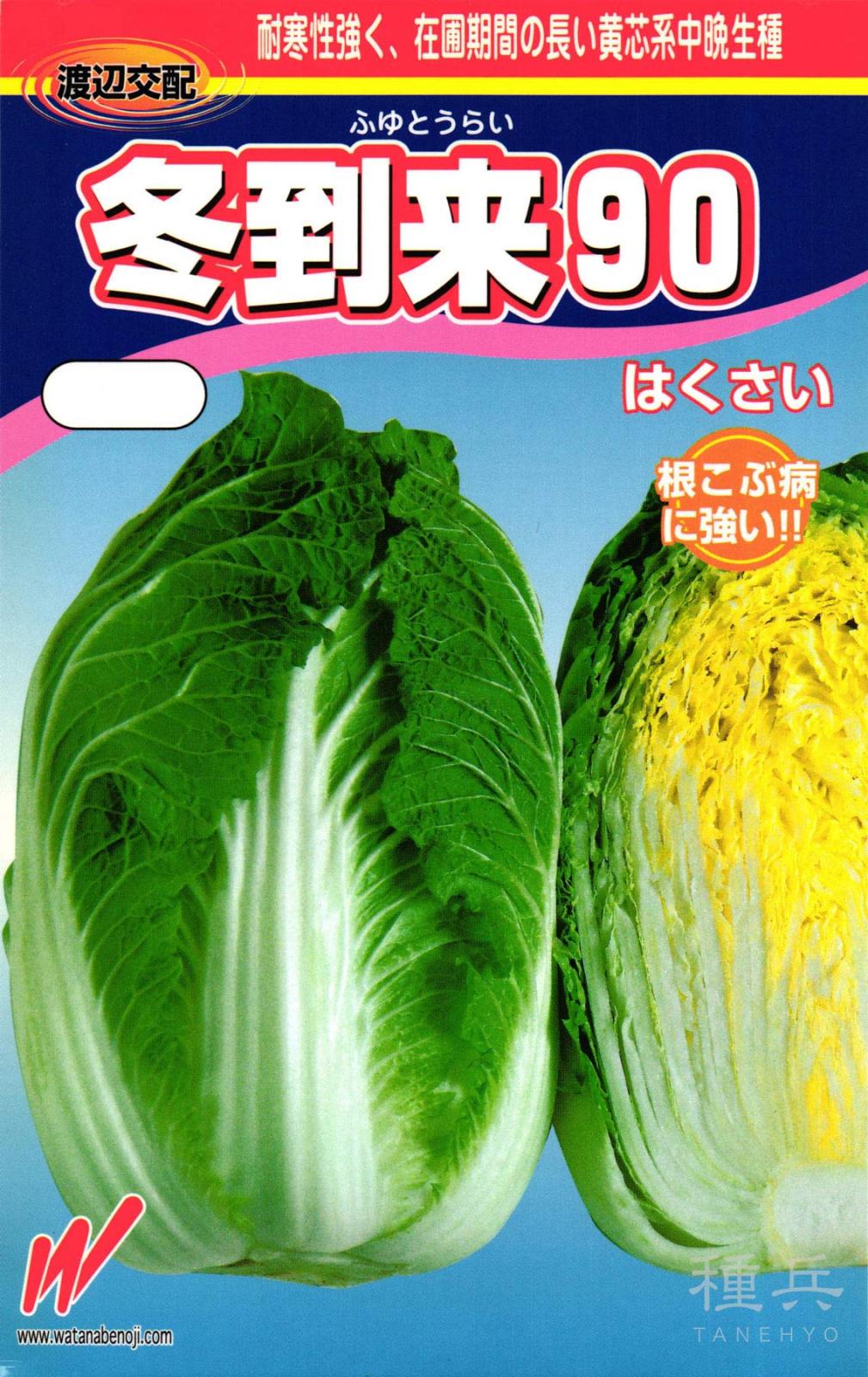 黄芯冬どりハクサイ 種 『冬到来90』  渡辺農事