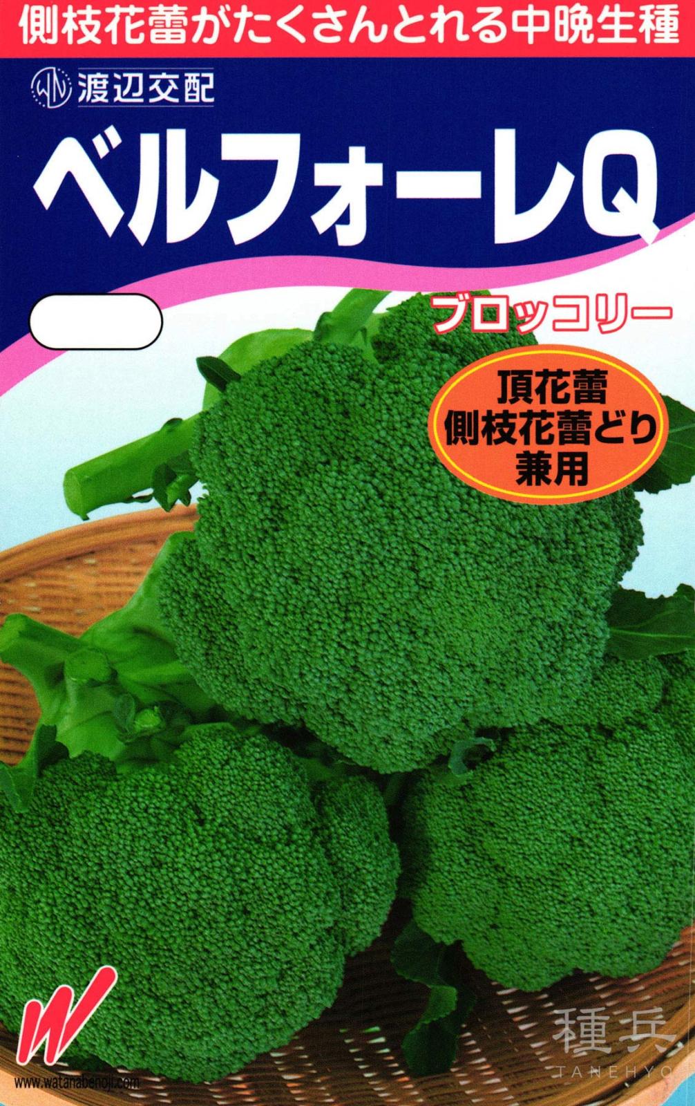 ブロッコリー 種 『ベルフォーレＱ』  渡辺農事