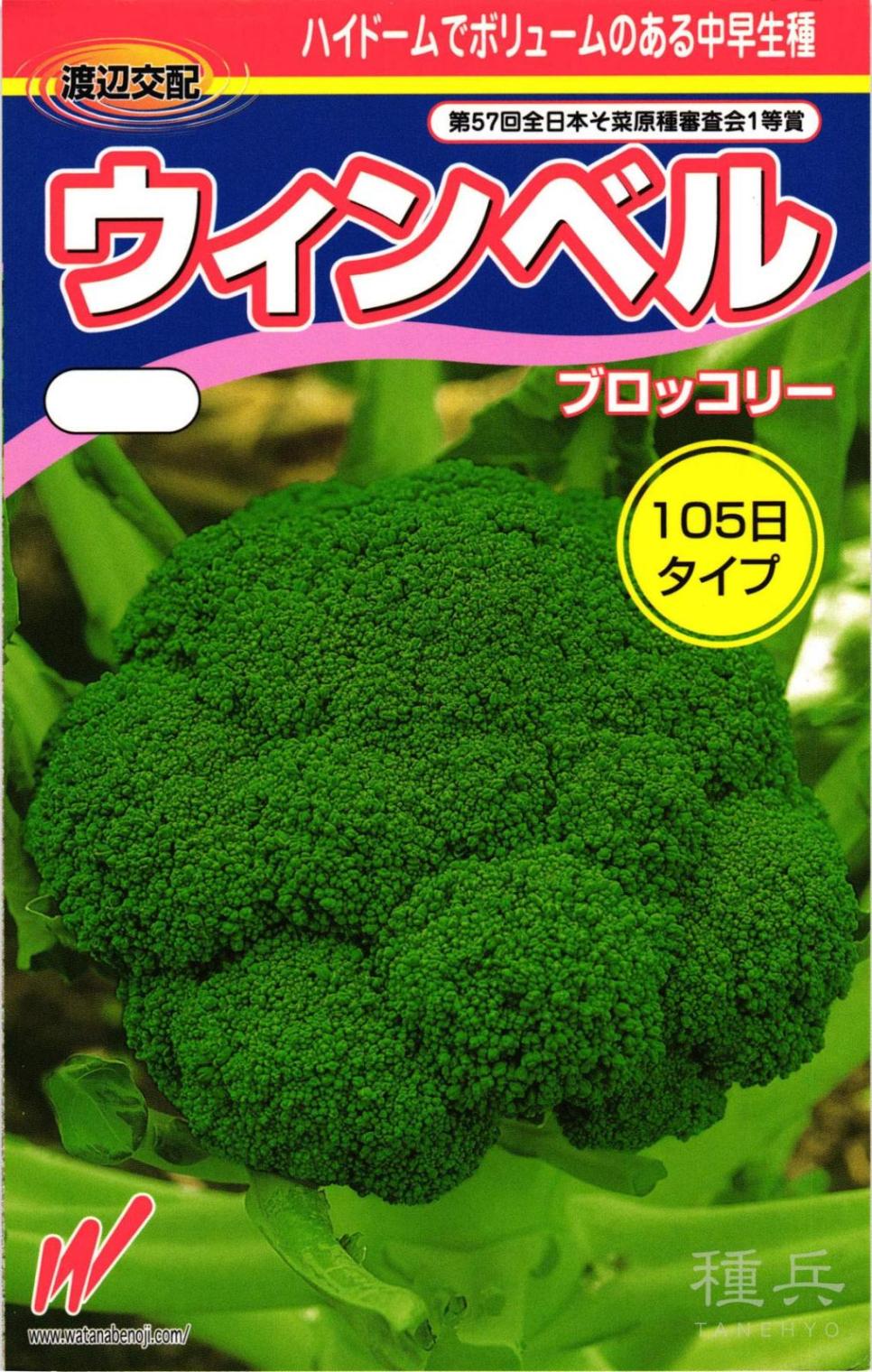 ブロッコリー 種 『ウィンベル』  渡辺農事