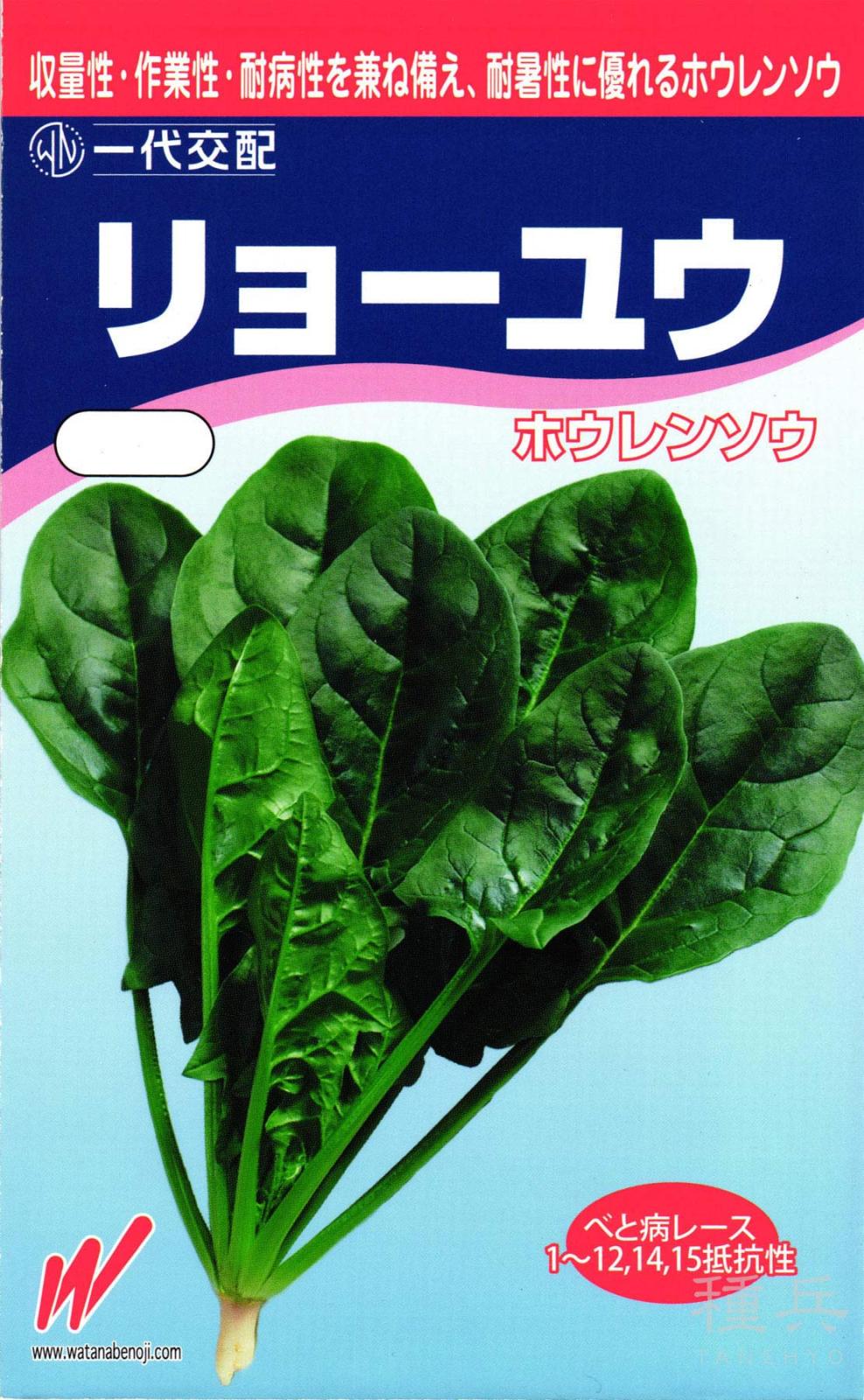 ホウレンソウ 種 『リョーユウ』  渡辺農事