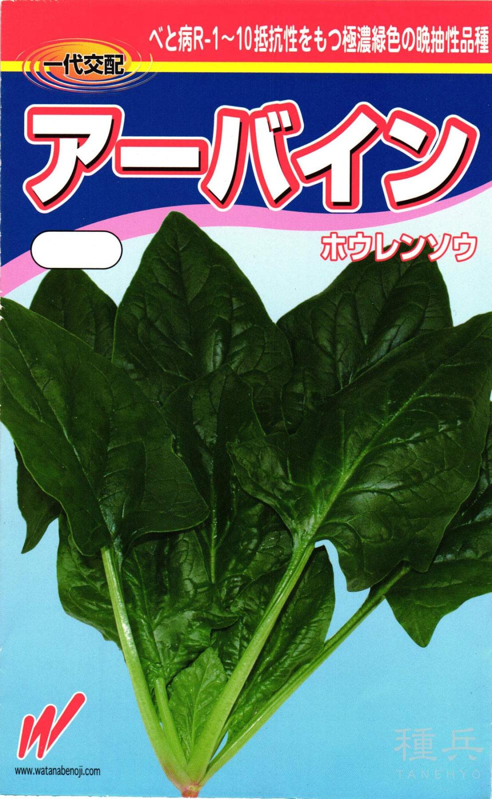 ホウレンソウ 種 『アーバイン（NX-SP230）』  渡辺農事