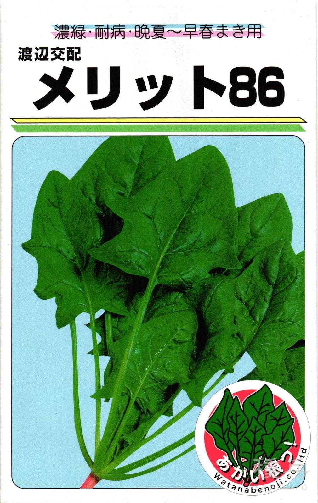 ホウレンソウ 種 『メリット86』  渡辺農事