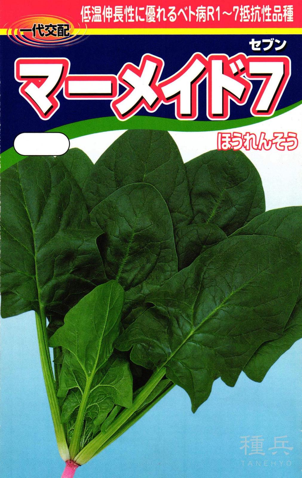 ホウレンソウ 種 『マーメイド７』  渡辺農事