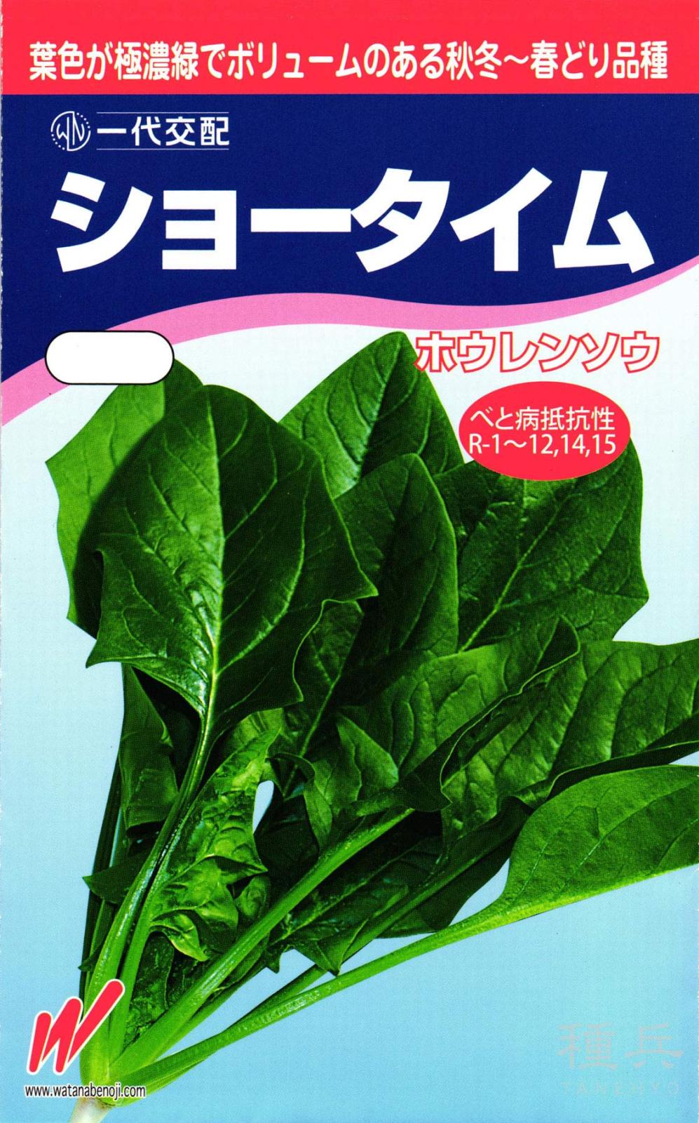 ホウレンソウ 種 『ショータイム』  渡辺農事