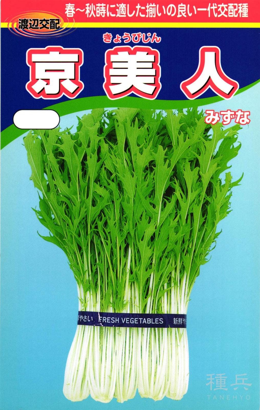 ミズナ 種 『京美人（きょうびじん）』  渡辺農事