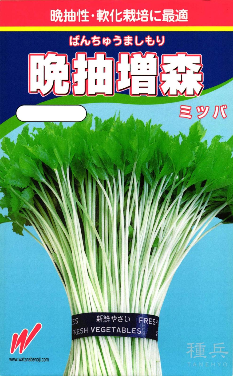 ミツバ 種 『晩抽増森』  渡辺農事