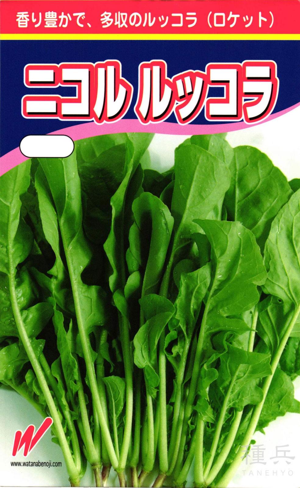 ルッコラ 種 『ニコル・ルッコラ』  渡辺農事