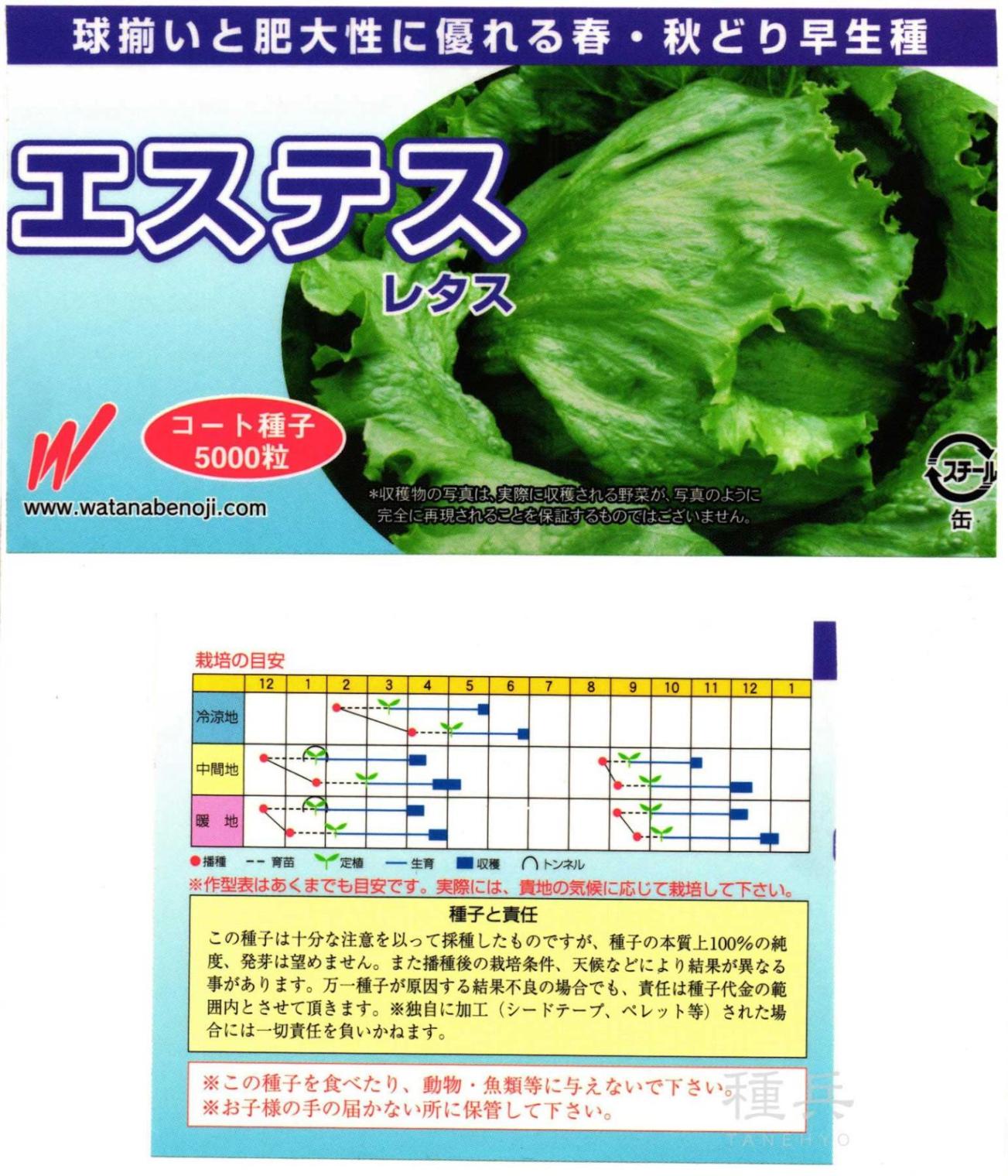 結球レタス 種 『エステス』  渡辺農事