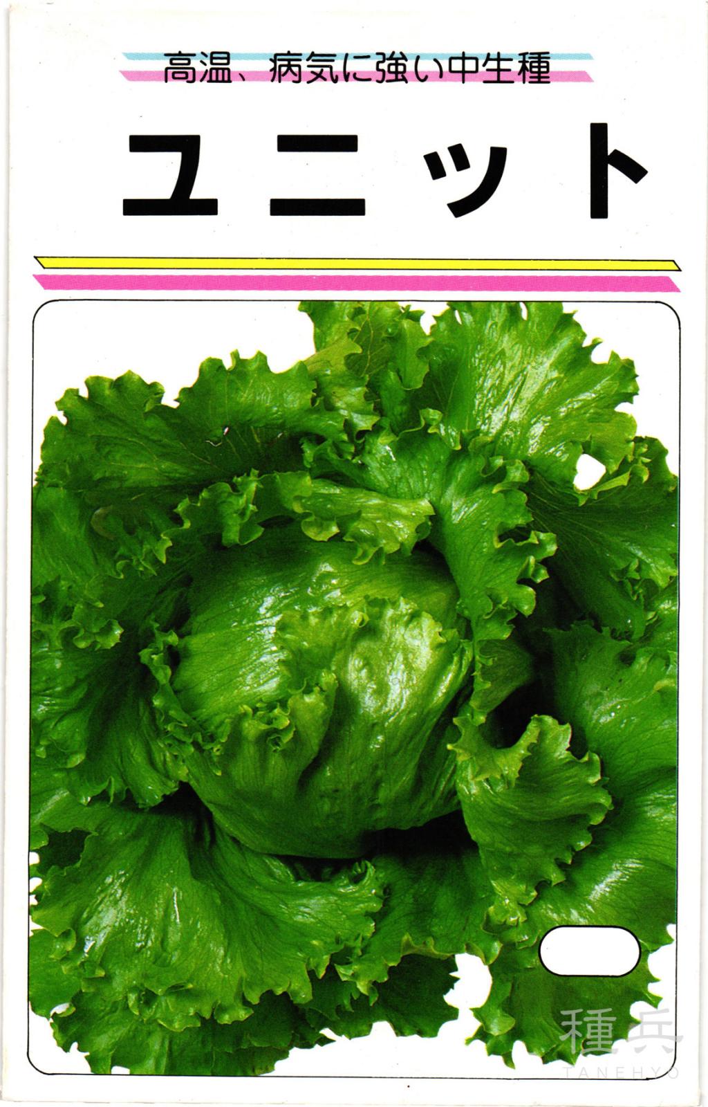 結球レタス 種 『ユニット』  渡辺農事