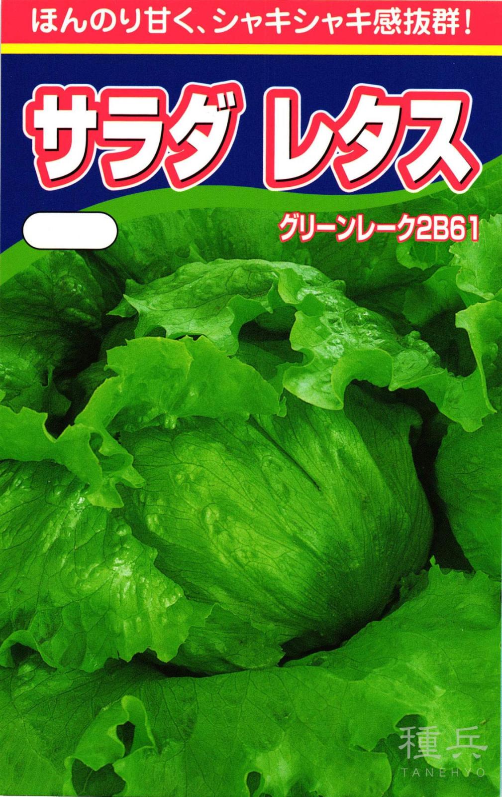 結球レタス 種 『グリーンレーク2B61』  渡辺農事