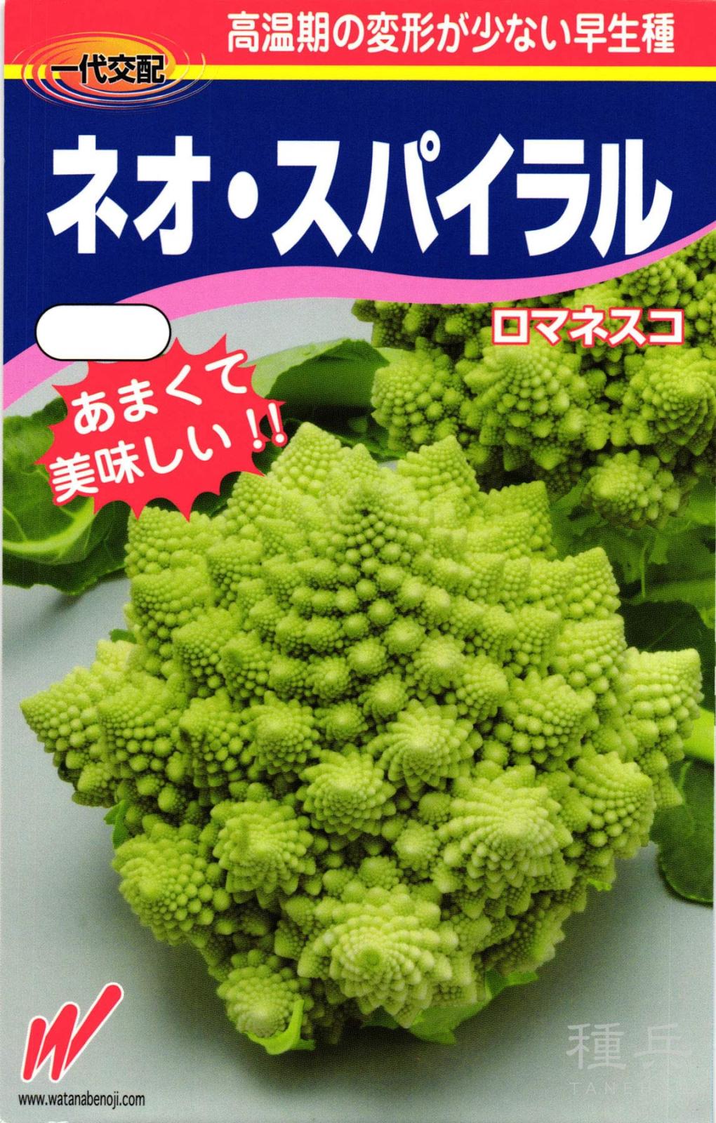 ロマネスコ 種 『ネオ・スパイラル』  渡辺農事