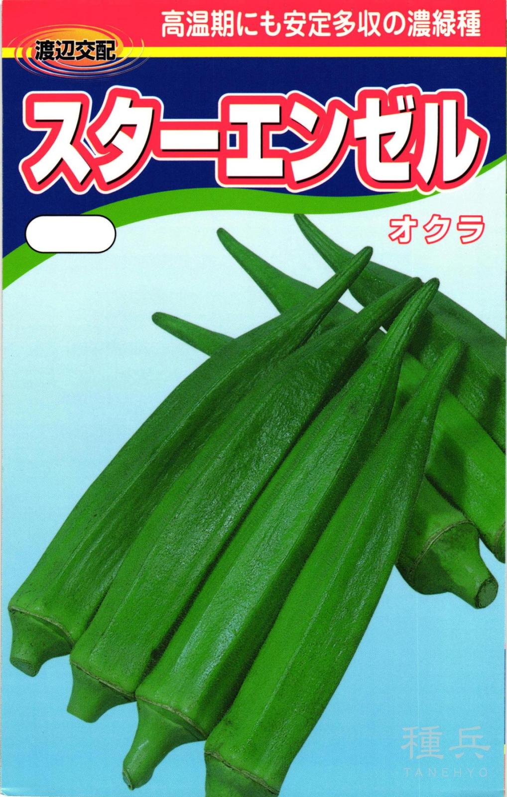 オクラ 種 『スターエンゼル』  渡辺農事