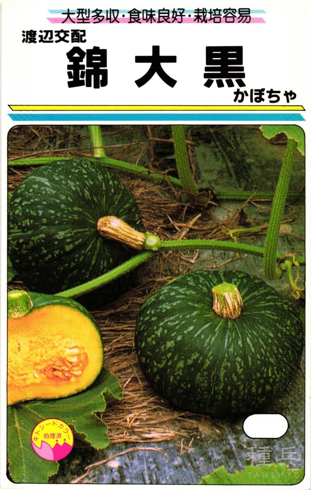 栗カボチャ 種 『錦大黒』  渡辺農事