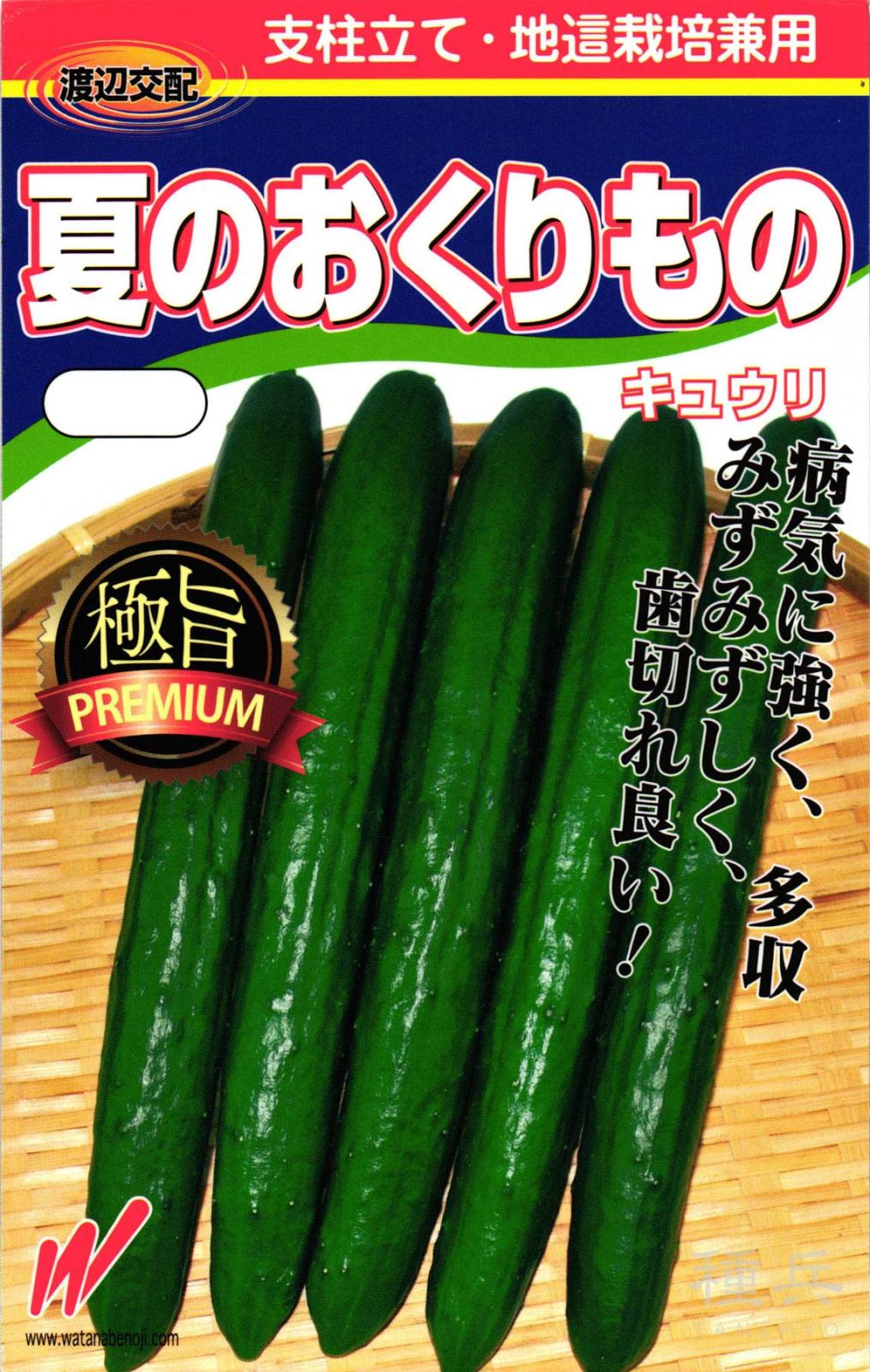 キュウリ 種 『夏のおくりもの』  渡辺農事