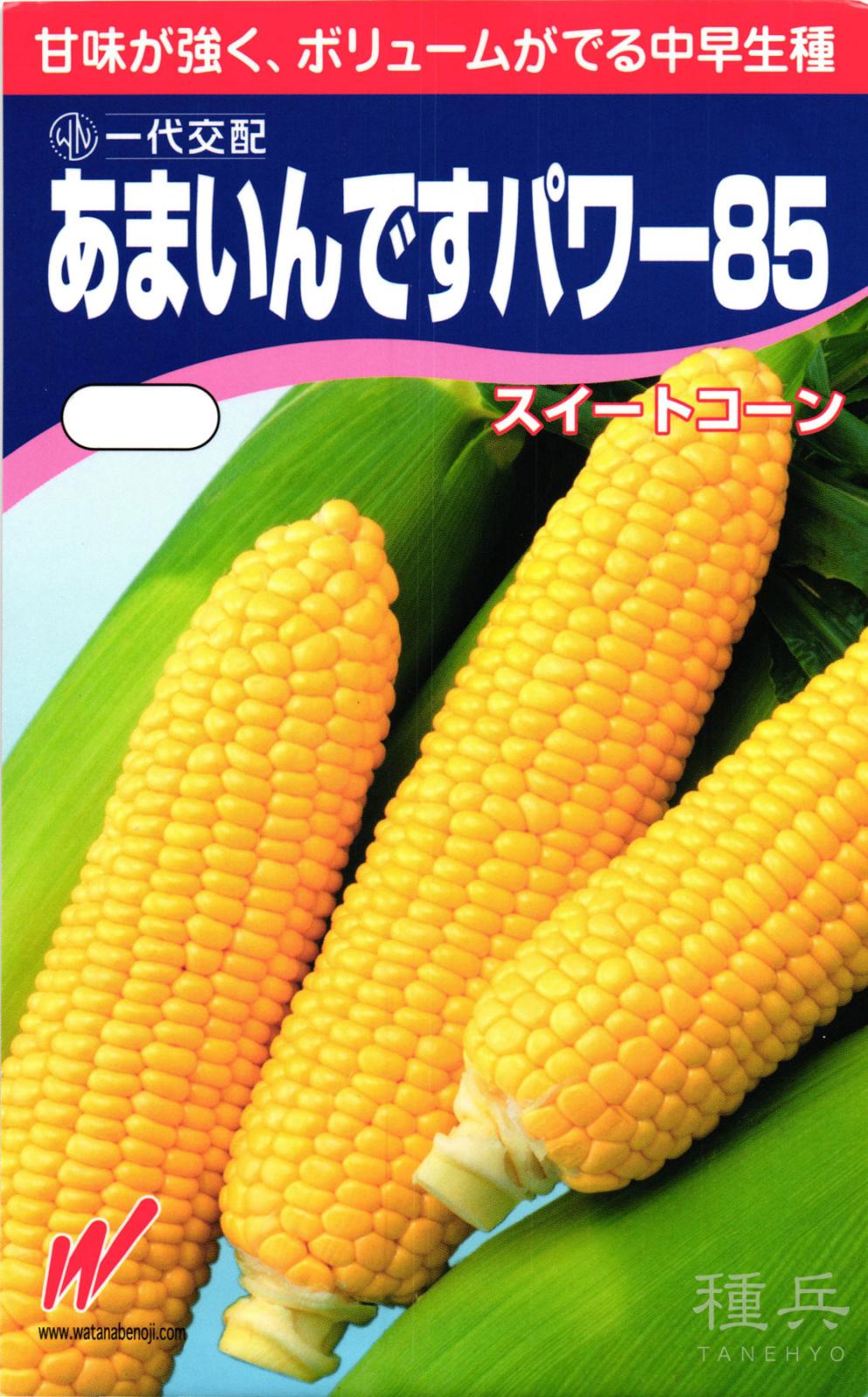 スイートコーン 種 『あまいんですパワー85』  渡辺農事