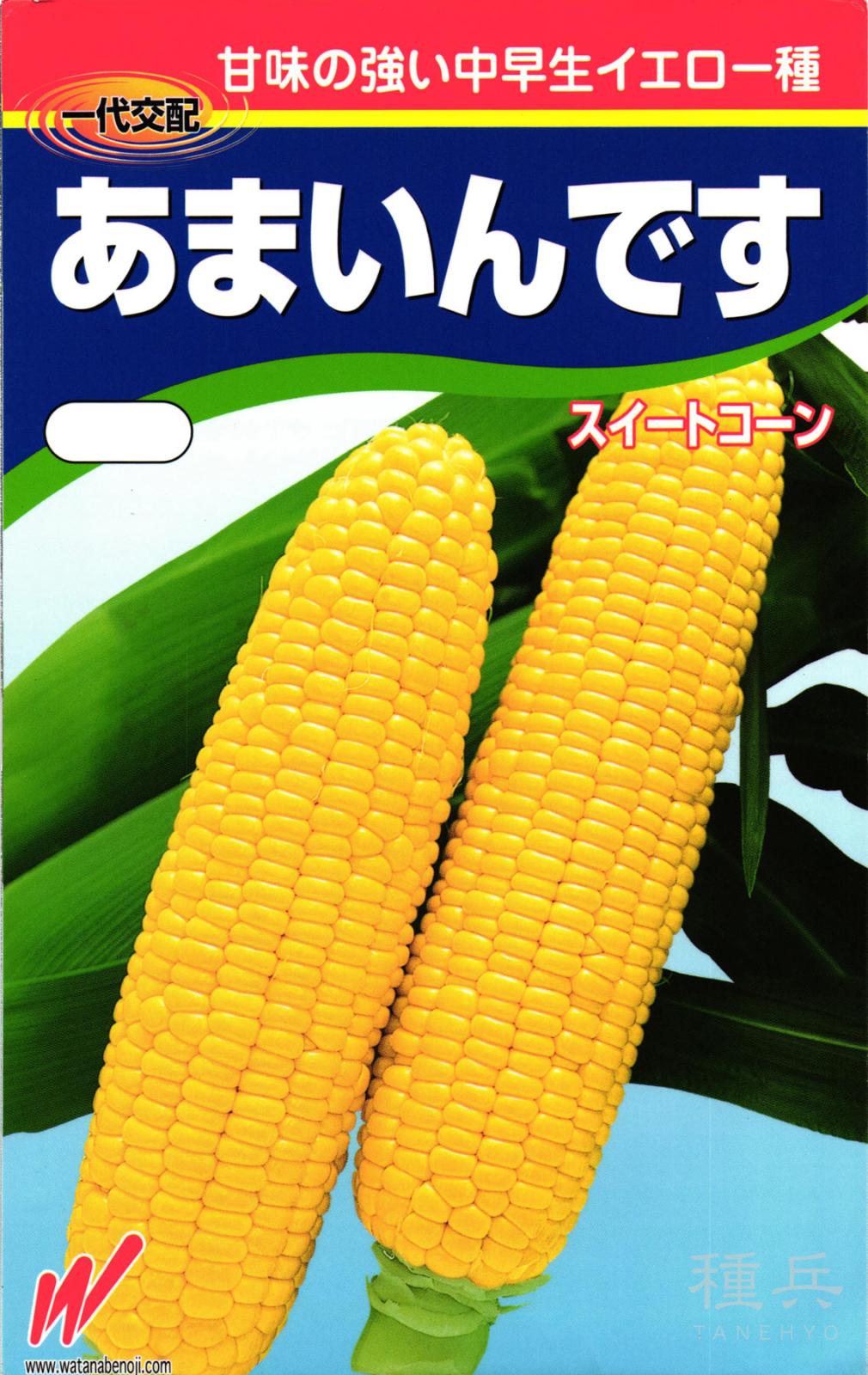 スイートコーン 種 『あまいんです』  渡辺農事