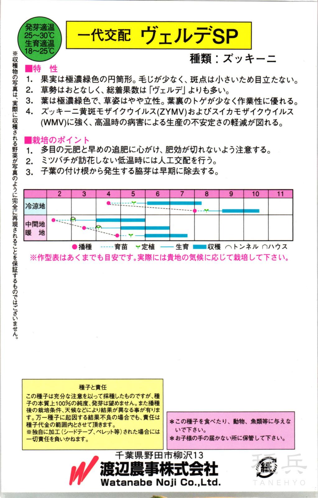 ズッキーニ 種 『ヴェルデSP』 渡辺農事 | たね,果菜の種,ズッキーニ