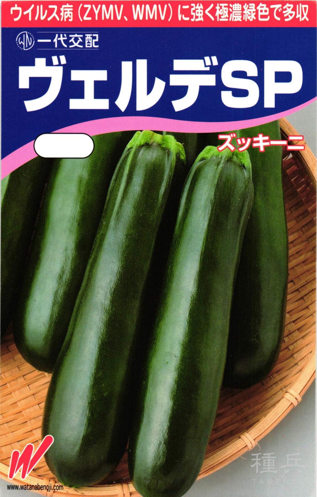 ズッキーニ 種 『ヴェルデSP』  渡辺農事