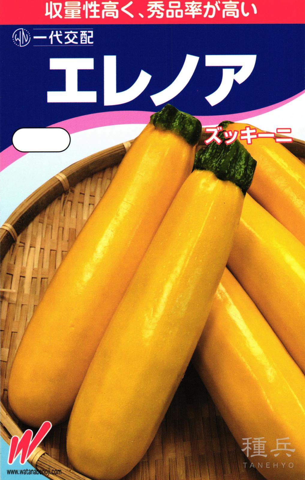 ズッキーニ 種 『エレノア』  渡辺農事