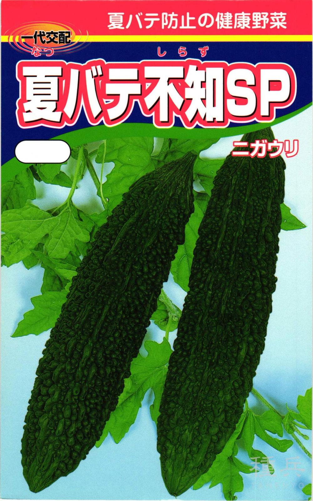 ゴーヤ 種 『夏バテ不知SP』  渡辺農事