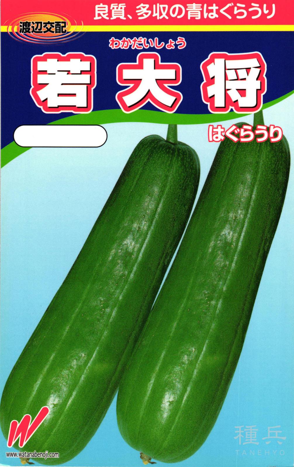 ハグラウリ 種 『若大将（わかたいしょう）』  渡辺農事