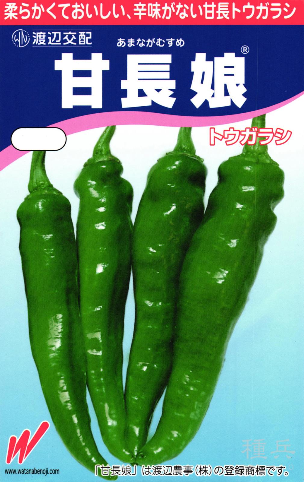 甘長トウガラシ 種 『甘長娘(あまながむすめ)』  渡辺農事