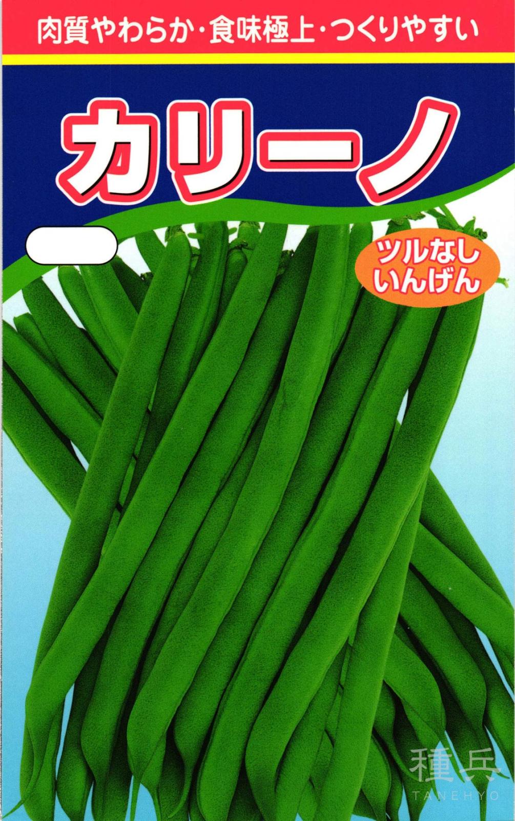 つるなしインゲン 種 『カリーノ』  渡辺農事