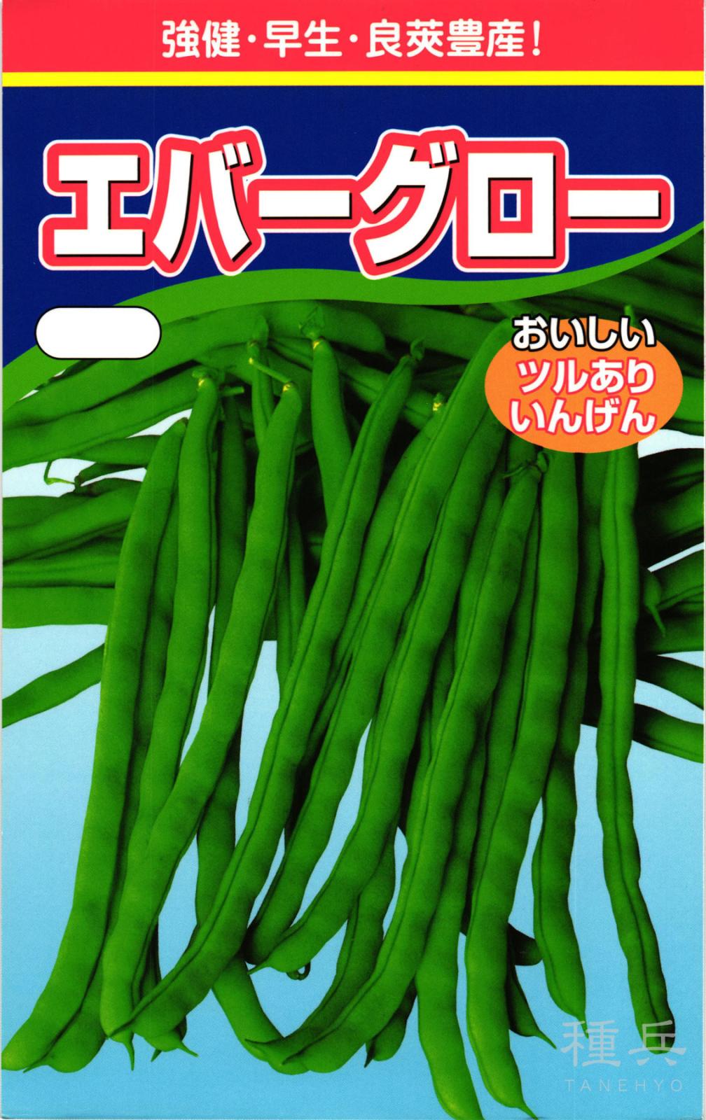 つるありインゲン 種 『エバーグロー』  渡辺農事
