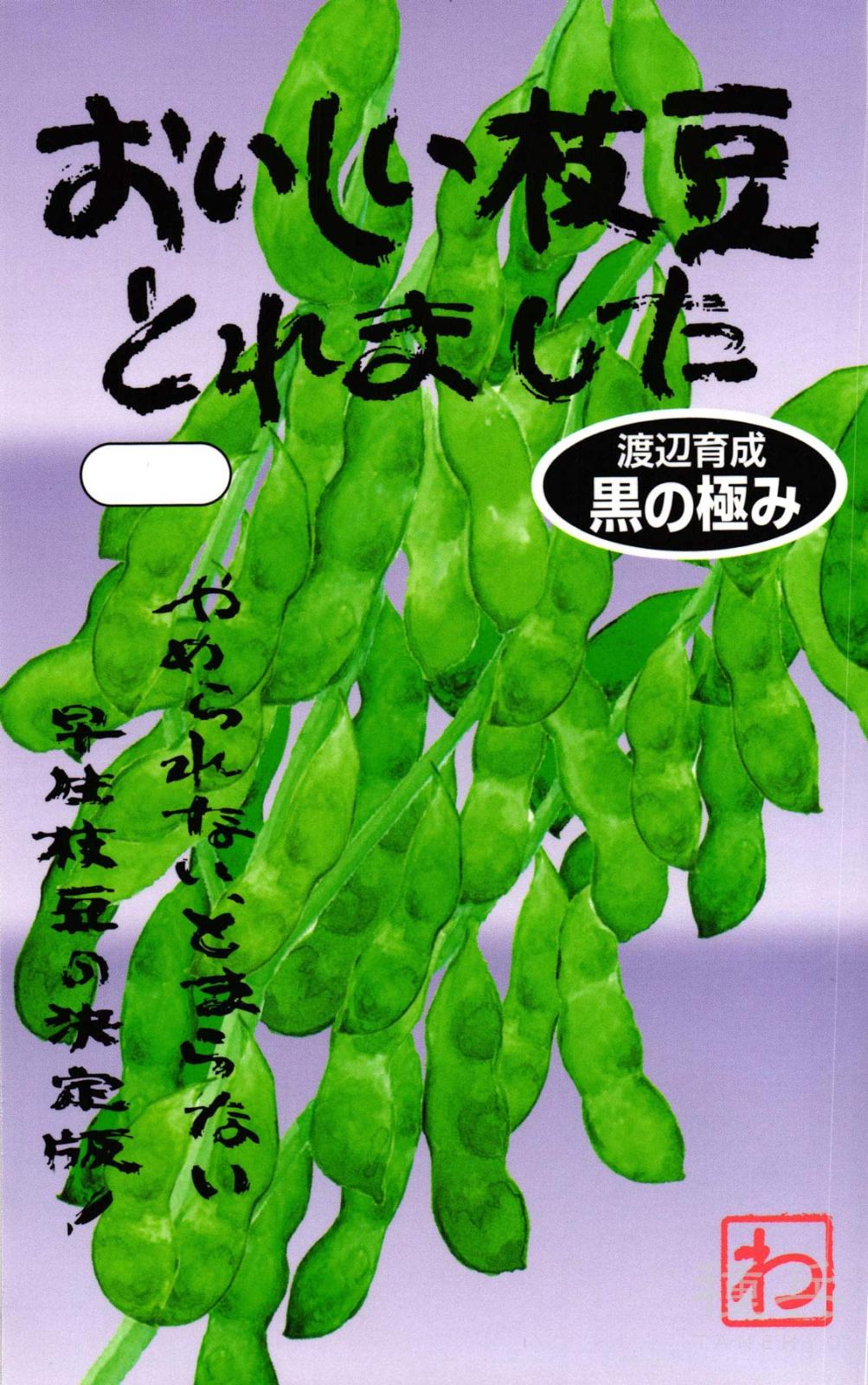 黒エダマメ 種 『黒の極み』  渡辺農事