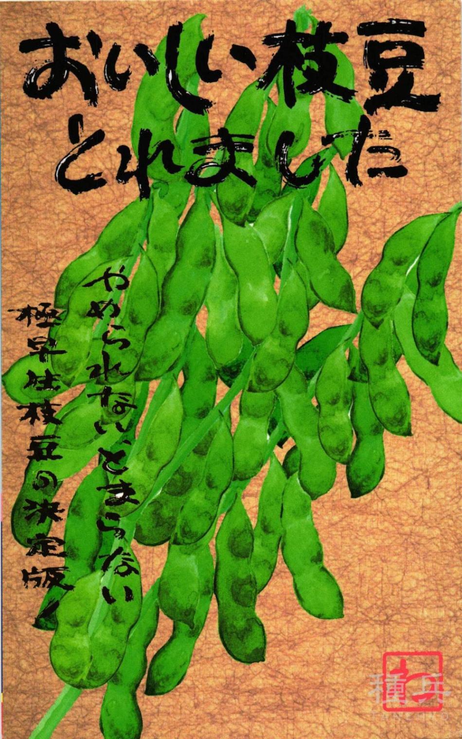 エダマメ 種 『おいしい枝豆とれました』  渡辺農事