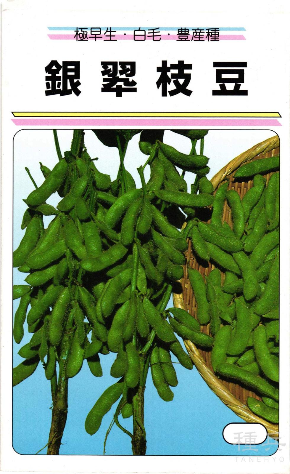 エダマメ 種 『銀翠枝豆』  渡辺農事