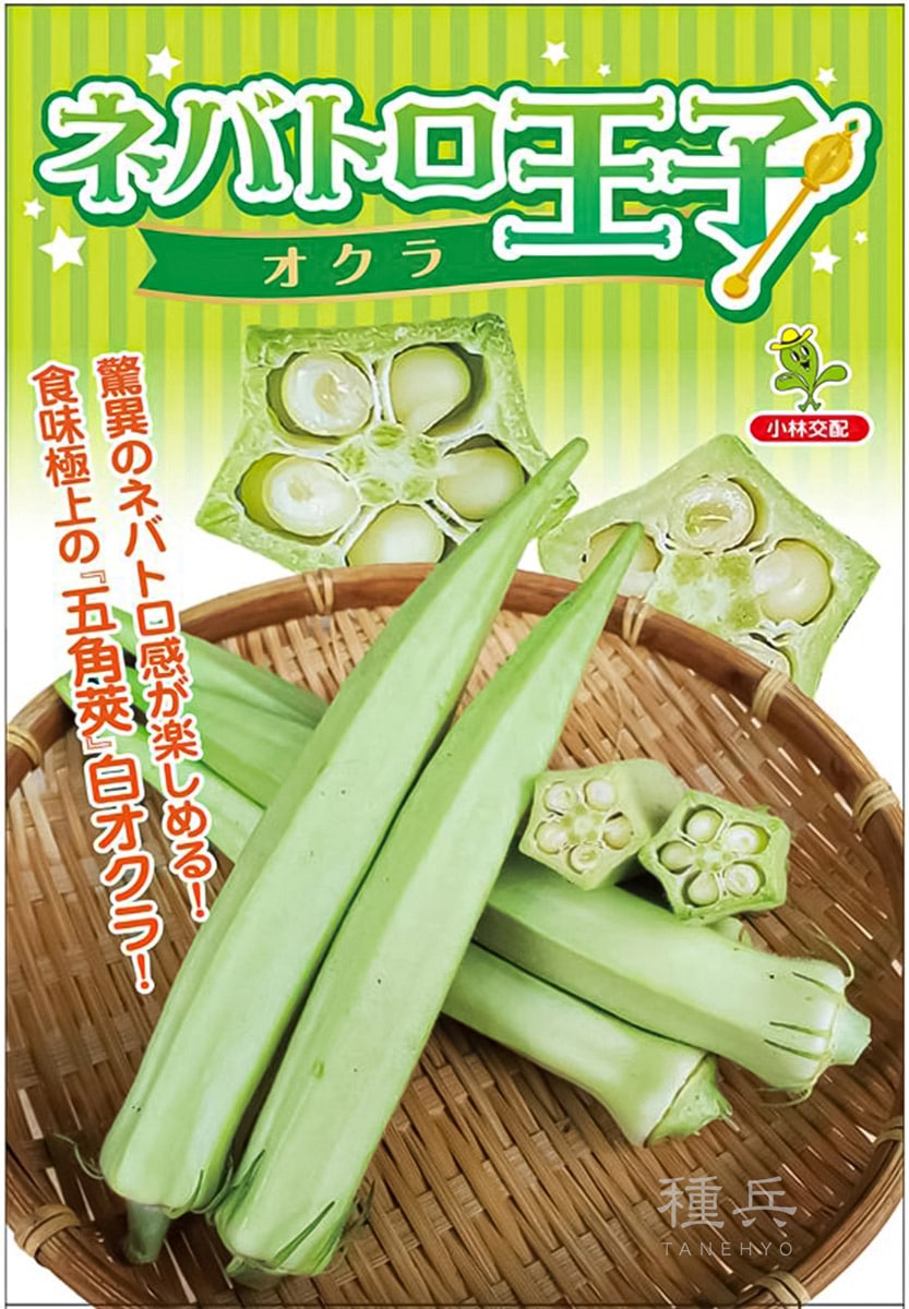 白オクラ 種 『ネバトロ王子』  小林種苗