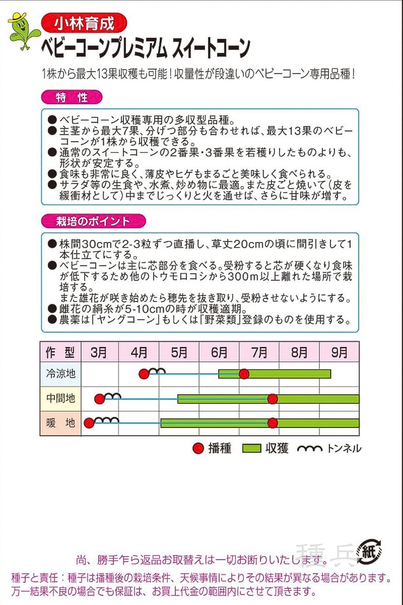 ヤングコーン 種 『ベビーコーンプレミアム』 小林種苗 | たね,果菜の