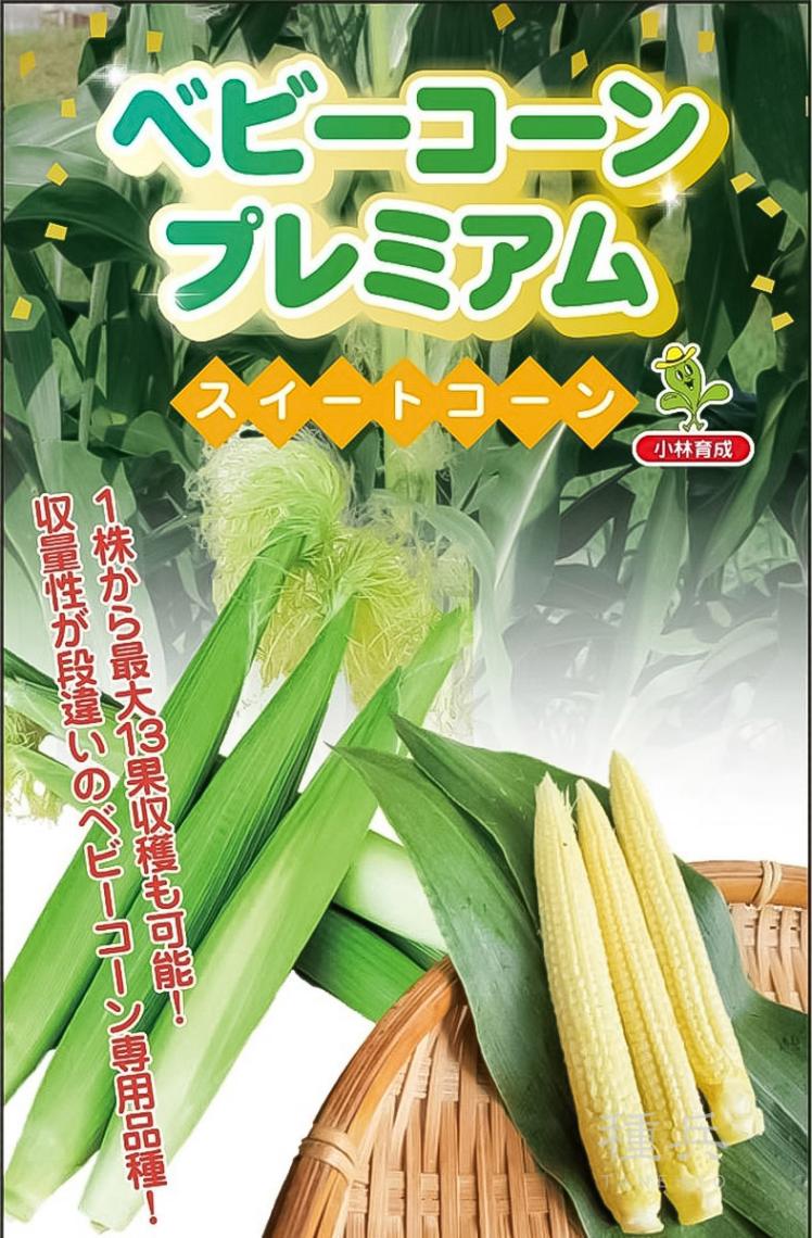 ヤングコーン 種 『ベビーコーンプレミアム』  小林種苗