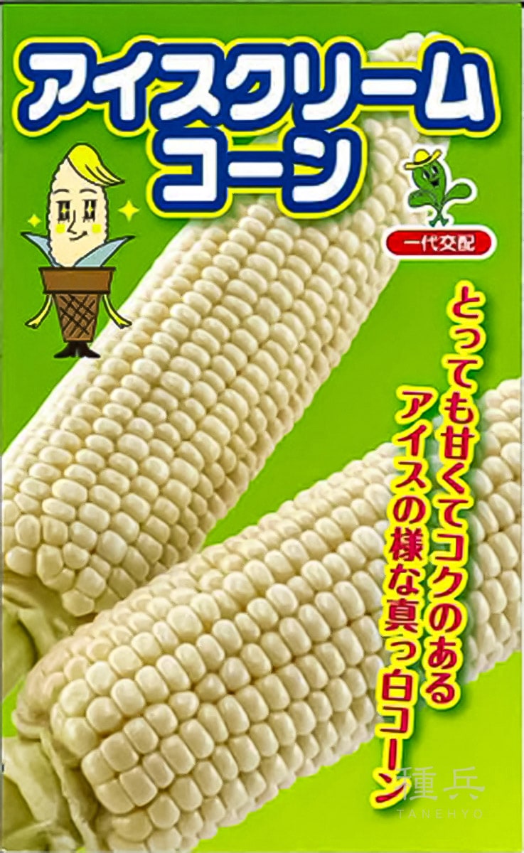 ホワイトコーン 種 『アイスクリームコーン』  小林種苗