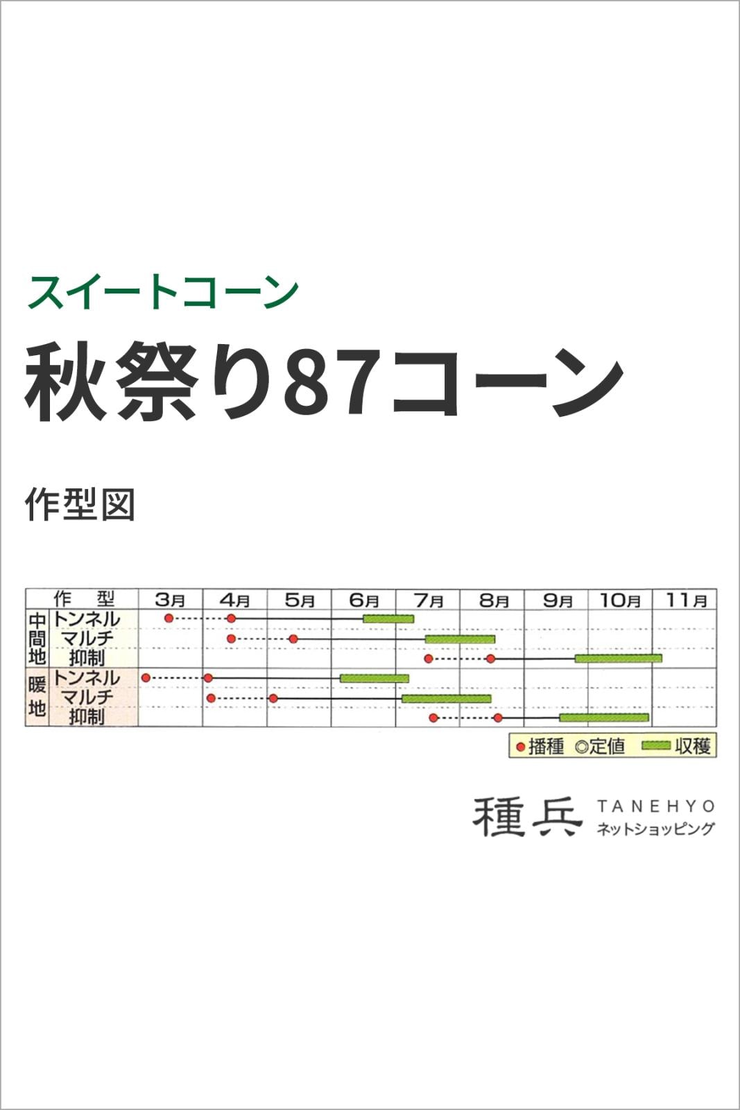 スイートコーン 種 『秋祭り87コーン』 小林種苗 | たね,果菜の種