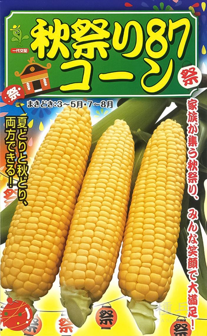 スイートコーン 種 『秋祭り87コーン』 小林種苗 | たね,果菜の種