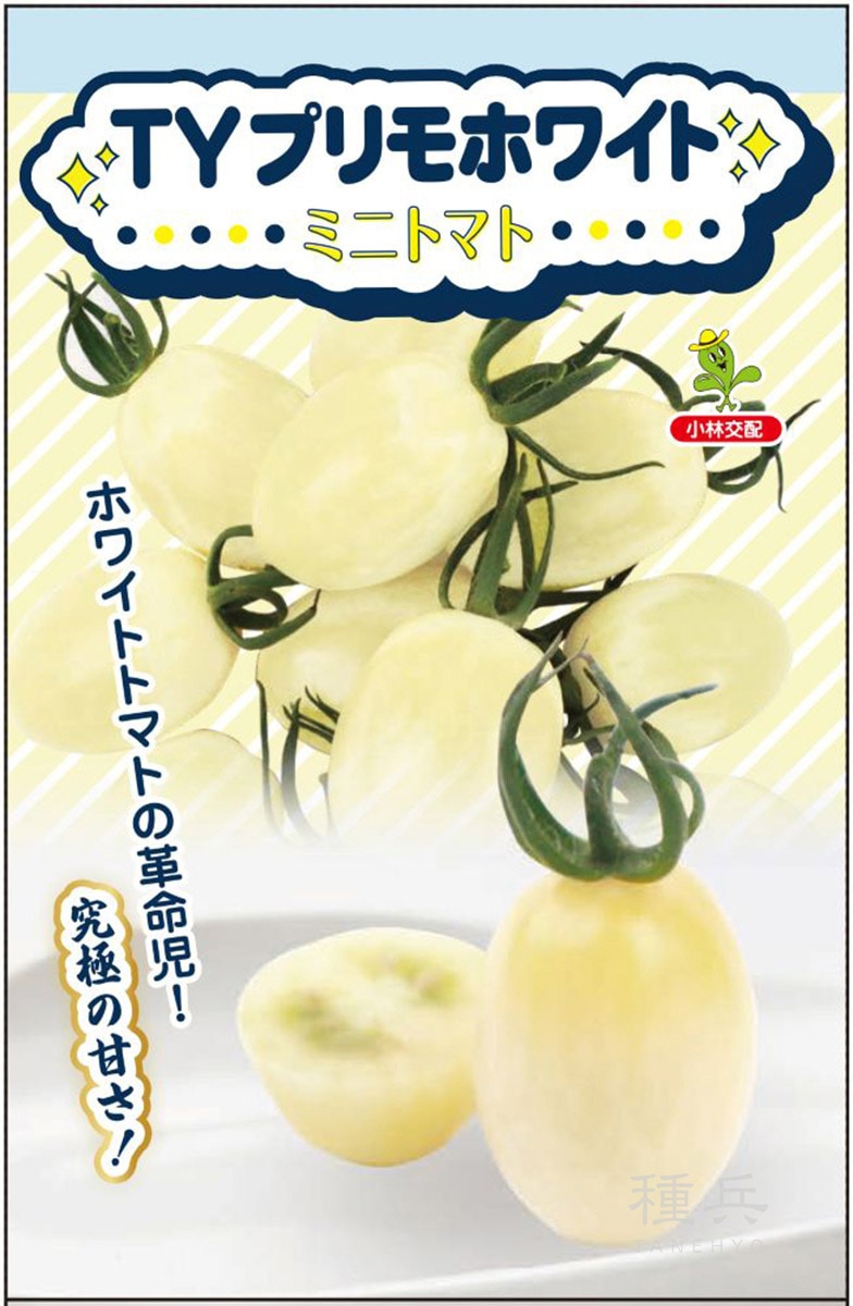 白皮ミニトマト 種 『TYプリモホワイト』  小林種苗