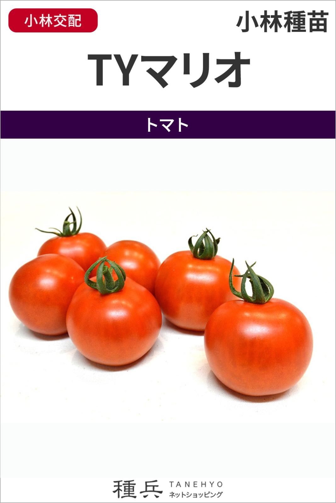 中玉トマト 種 『TYマリオ』  小林種苗