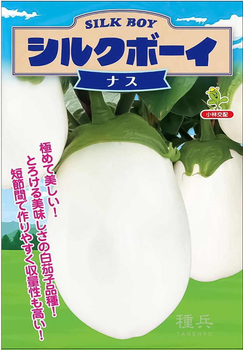 白ナス 種 『シルクボーイ 』 小林種苗 | たね,果菜の種,ナス,その他の