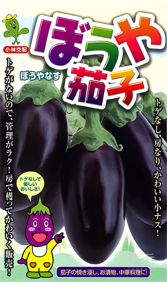 小ナス 種 『ぼうや茄子』  小林種苗
