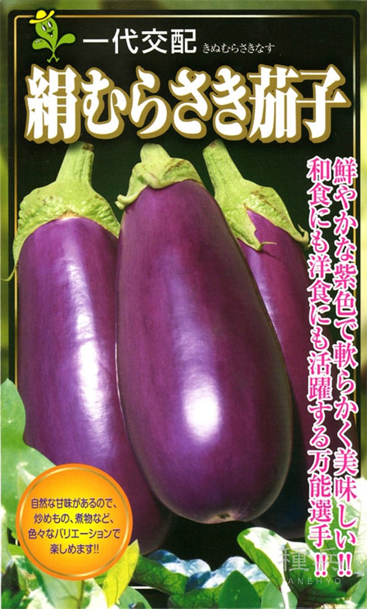 米茄子 種 『絹むらさき』  小林種苗