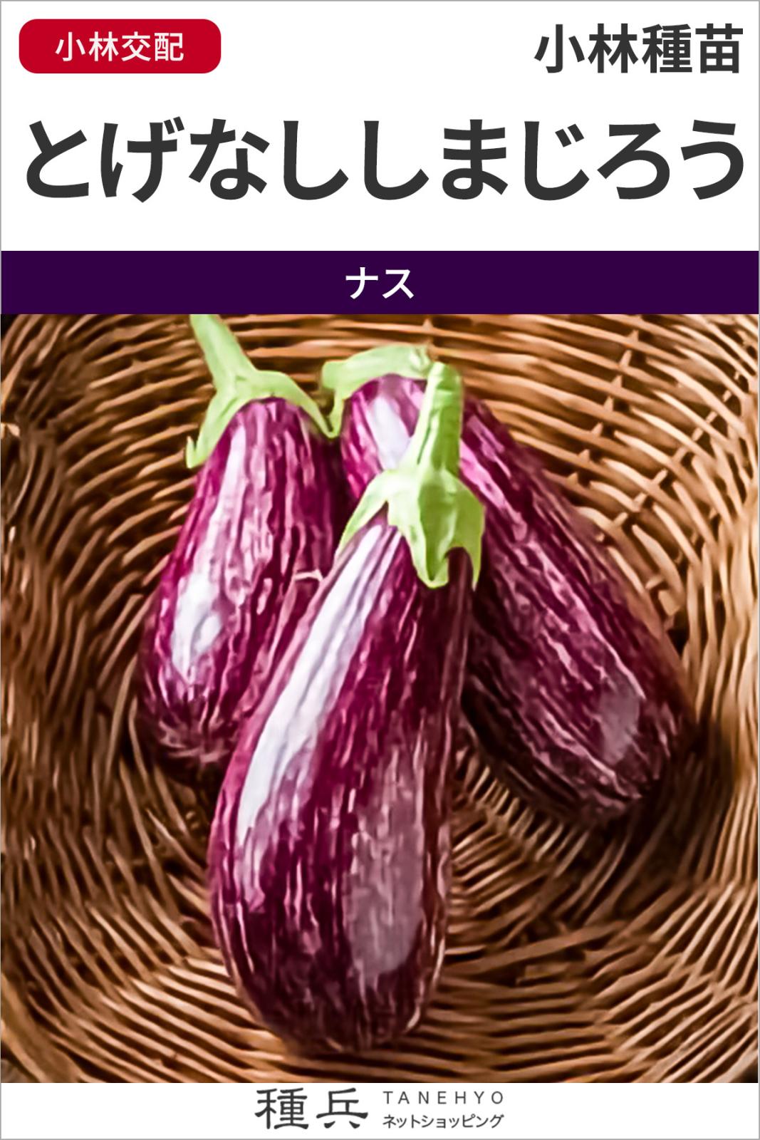 とげなしナス 種 『とげなししまじろう』  小林種苗