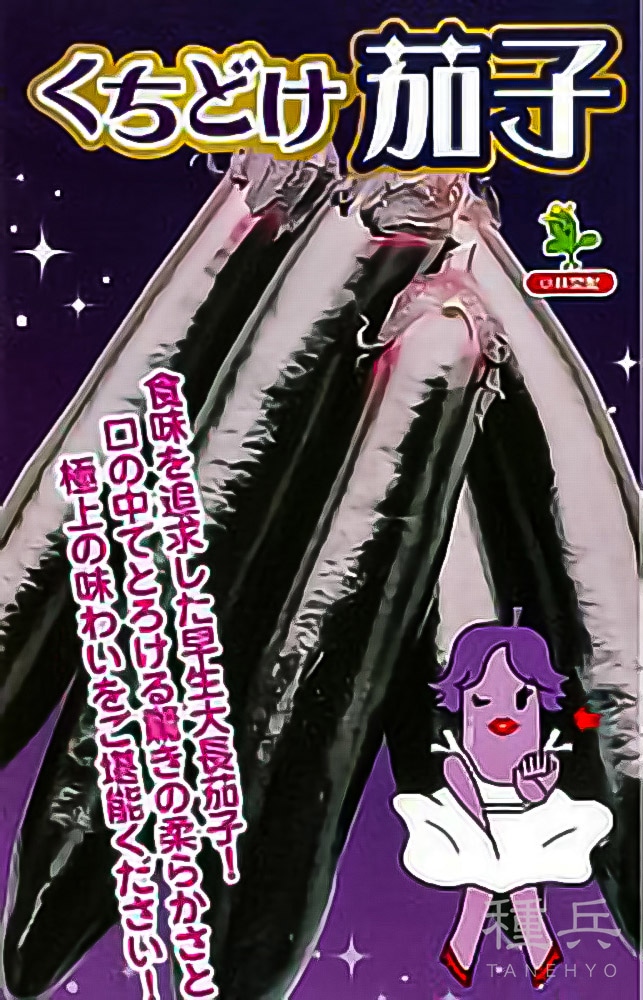 大長茄子 種 『くちどけ茄子(豊潤)』  小林種苗