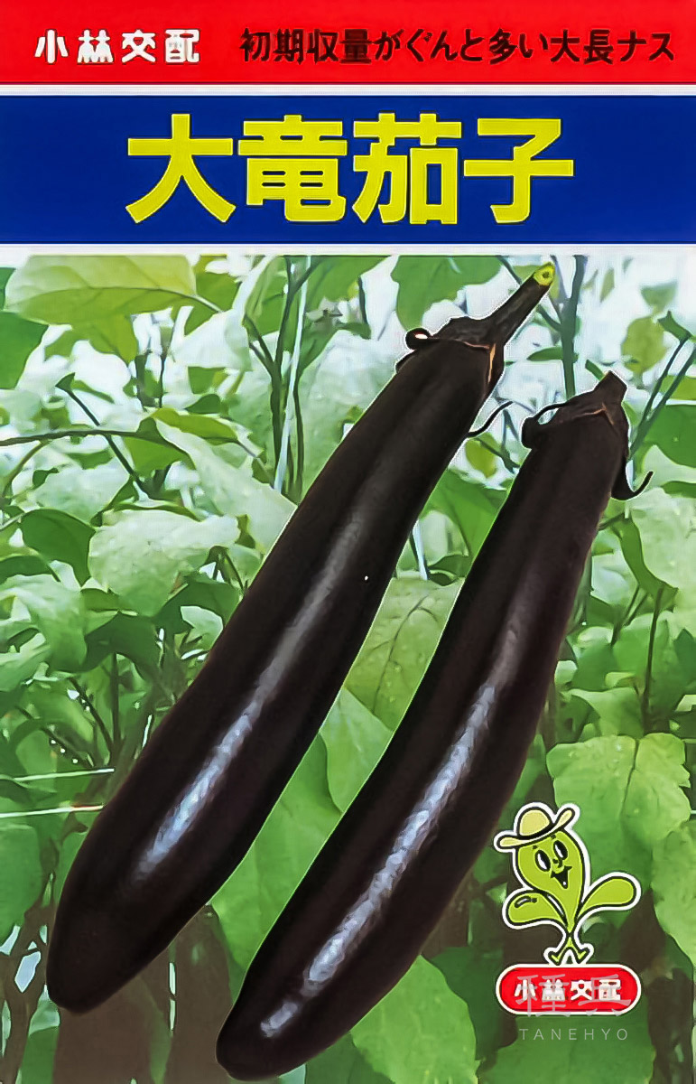大長茄子 種 『大竜』  小林種苗