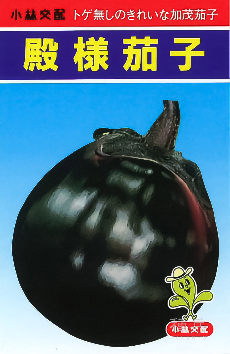 賀茂茄子 種 『殿様』  小林種苗