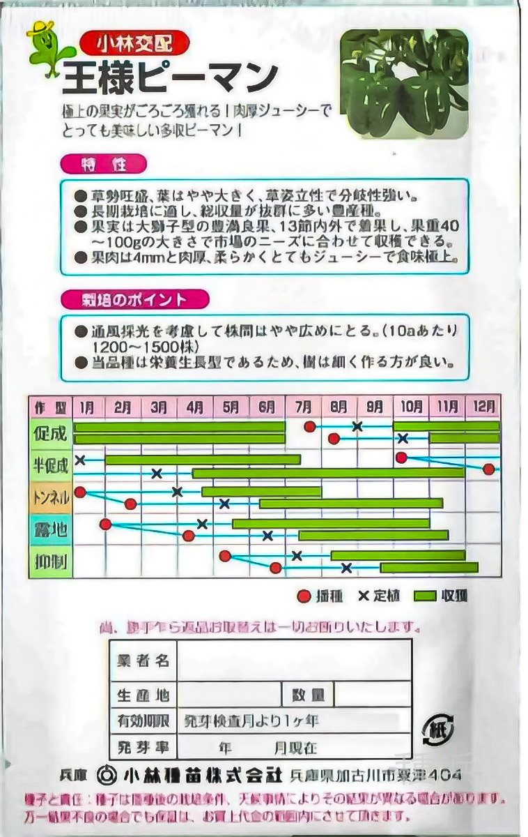 ピーマン 種 『王様ピーマン(グリーン500号)』 小林種苗 | たね,果菜の