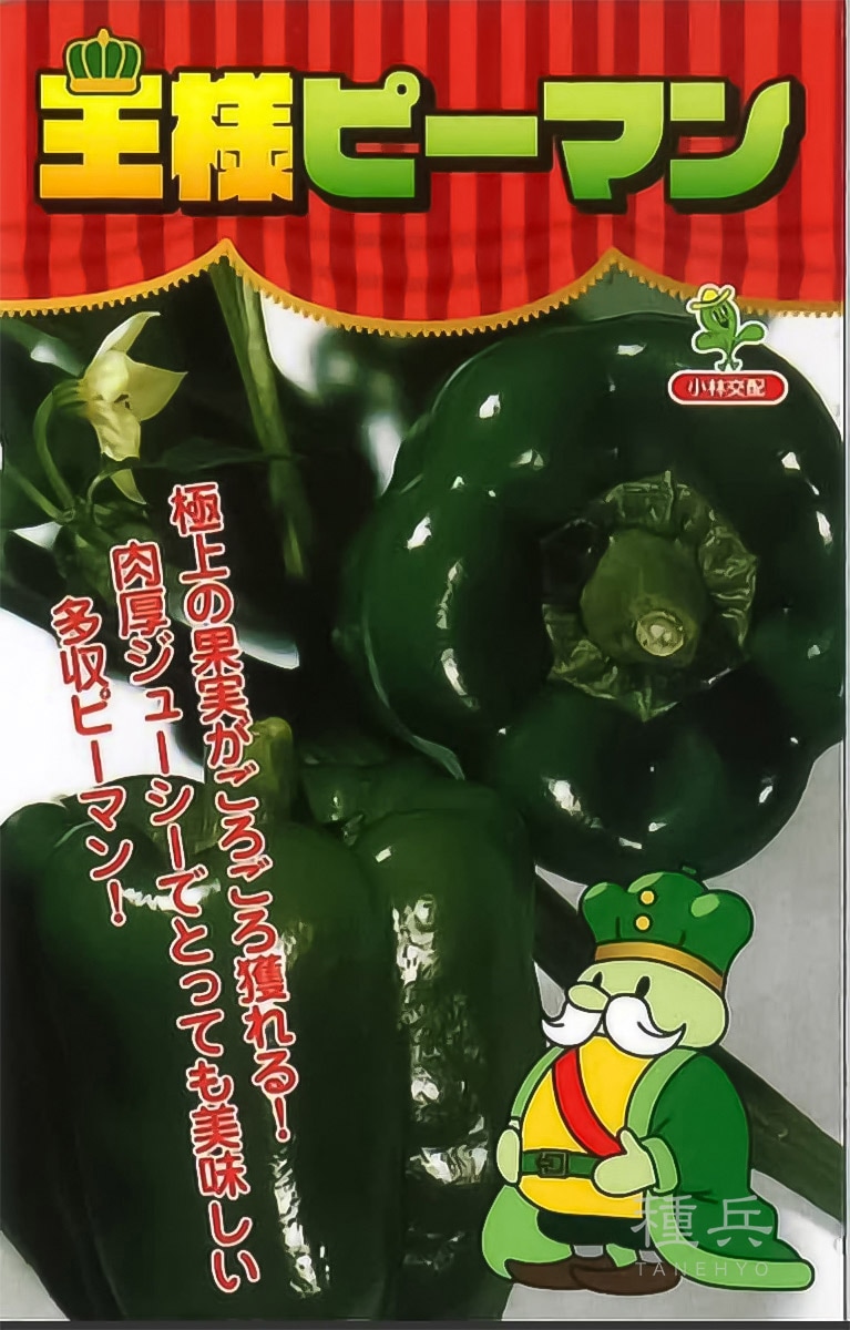 ピーマン 種 『王様ピーマン(グリーン500号)』 小林種苗 | たね,果菜の