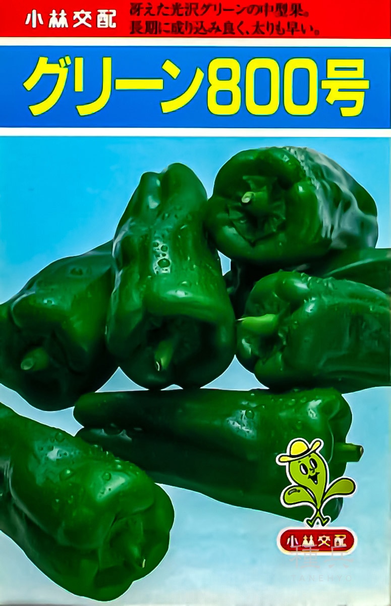 ピーマン 種 『グリーン800号』  小林種苗